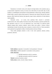 Tarptautinio ir nacionalinio verslo pranašumai ir trūkumai 2 puslapis