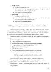 Tarptautinio ir nacionalinio verslo pranašumai ir trūkumai 12 puslapis