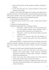Tarptautinio ir nacionalinio verslo pranašumai ir trūkumai 4 puslapis