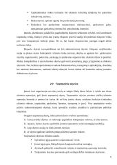 Tarptautinio ir nacionalinio verslo pranašumai ir trūkumai 6 puslapis
