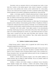 Tarptautinio ir nacionalinio verslo pranašumai ir trūkumai 10 puslapis