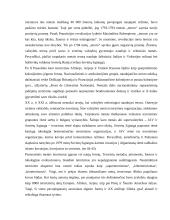 Tarptautinis terorizmas, kovos su juo patirtis bei perspektyvos 5 puslapis