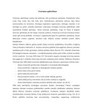 Tarptautinis terorizmas, kovos su juo patirtis bei perspektyvos 6 puslapis