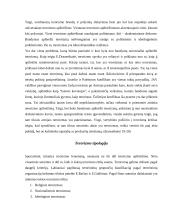 Tarptautinis terorizmas, kovos su juo patirtis bei perspektyvos 8 puslapis