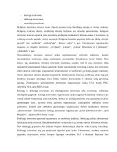 Tarptautinis terorizmas, kovos su juo patirtis bei perspektyvos 9 puslapis