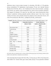 Tarptautinis verslas ir korporacijos 11 puslapis