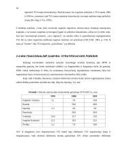 Tarptautinis verslas ir korporacijos 19 puslapis