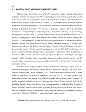 Tarptautinis verslas ir korporacijos 9 puslapis