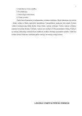 Tarptautinių įmonių organizacinė plėtra 11 puslapis