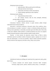 Tarptautinių įmonių organizacinė plėtra 18 puslapis