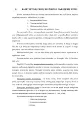 Tarptautinių įmonių organizacinė plėtra 3 puslapis