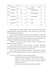 Tarptautinių įmonių organizacinė plėtra 8 puslapis