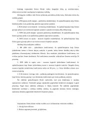 Tarptautinių įmonių organizacinė plėtra 10 puslapis