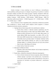 Tarptautinių plėtros ir paramos organizacijų, struktūros, veiklos krypčių ir finansavimo analizė centrinės Amerikos ekonominės i 13 puslapis