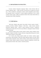 Tarptautinių plėtros ir paramos organizacijų, struktūros, veiklos krypčių ir finansavimo analizė centrinės Amerikos ekonominės i 7 puslapis