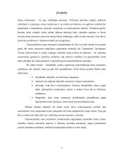 Tarpvalstybinių sienų nustatymo problematika 3 puslapis