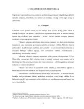 Tarpvalstybinių sienų nustatymo problematika 4 puslapis
