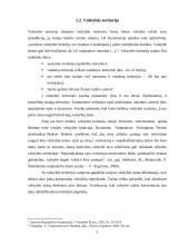 Tarpvalstybinių sienų nustatymo problematika 5 puslapis