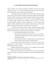Tarpvalstybinių sienų nustatymo problematika 6 puslapis