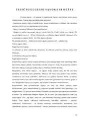 Teisės veikimas 19 puslapis