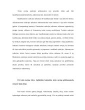 Teisės normos bei jų rūšys 7 puslapis