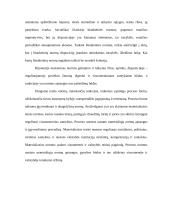 Teisės normos bei jų rūšys 10 puslapis