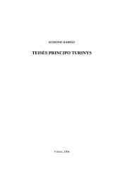 Teisės principo turinys 1 puslapis