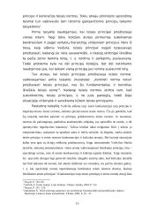 Teisės principo turinys 15 puslapis