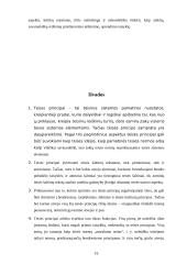 Teisės principo turinys 16 puslapis
