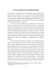 Teisės principo turinys 6 puslapis