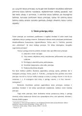 Teisės principo turinys 7 puslapis