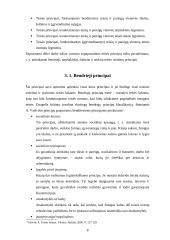Teisės principo turinys 8 puslapis