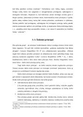 Teisės principo turinys 10 puslapis