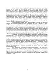 Teisės sistemos samprata ir struktūra 13 puslapis