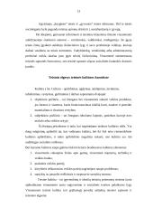 Teisės teorija ir vystymasis 12 puslapis