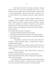 Teisės teorija ir vystymasis 13 puslapis