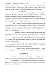Teisingumas ir vidaus reikalai Europos Sąjungoje (ES) 7 puslapis