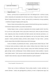 Teisinio precedento samprata 19 puslapis