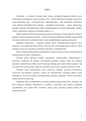 Terminės difuzijos proceso tyrimas, tranzistorių ekvivalentinių grandinių schemų sudarymas ir akustoelektroninio įtaiso projekta 3 puslapis