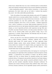 Terorizmas: baskų separatistinė organizacija (ETA) 8 puslapis