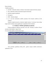 Teršalų sklaidos matematinis modeliavimas 19 puslapis