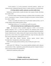 Teršalų sklaidos matematinis modeliavimas 10 puslapis