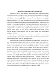 Tiesioginių užsienio investicijų srautai Lietuvoje 2 puslapis