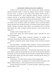 Tiesioginių užsienio investicijų srautai Lietuvoje 4 puslapis
