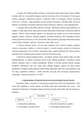 Tiesioginių užsienio investicijų srautai Lietuvoje 6 puslapis