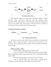 Tiesioginis marketingas 13 puslapis