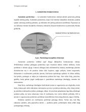 Tiesioginis marketingas 15 puslapis