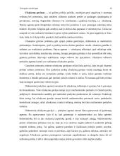Tiesioginis marketingas 19 puslapis