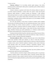 Tiesioginis marketingas 20 puslapis