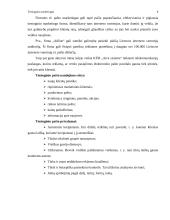 Tiesioginis marketingas 8 puslapis